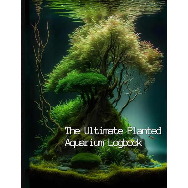 Nature Aquarium World: How You Can Make A Most Beautiful Aquarium